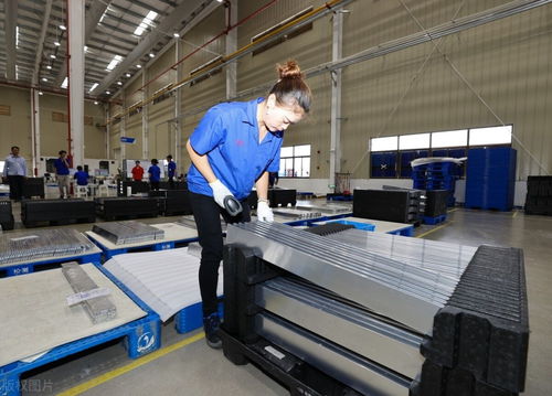 16万的特斯拉即将问世，国产汽车与日用品市场的双重机遇与挑战